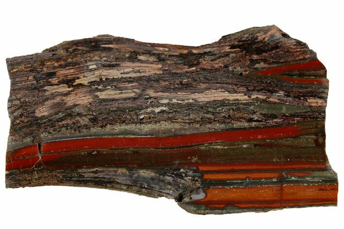 Stromatolite Slice - Pilbara, Australia ( Billion Years) #180011